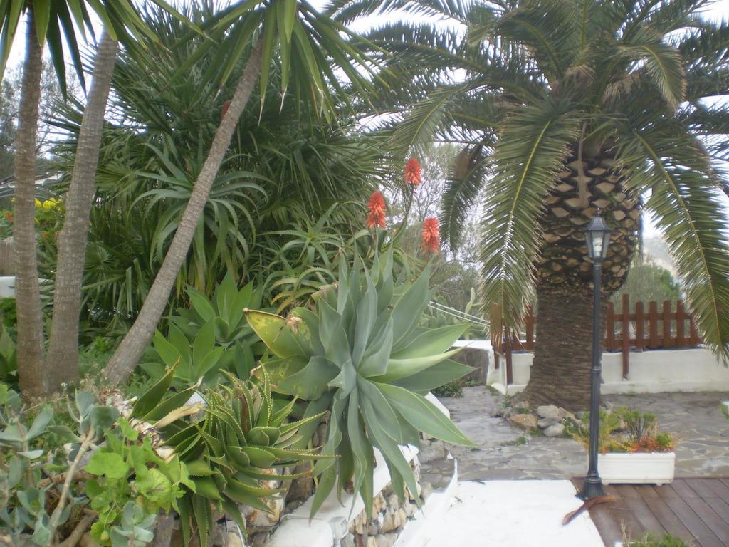 L'Incanto Di Cala Feola Ponza Bagian luar foto